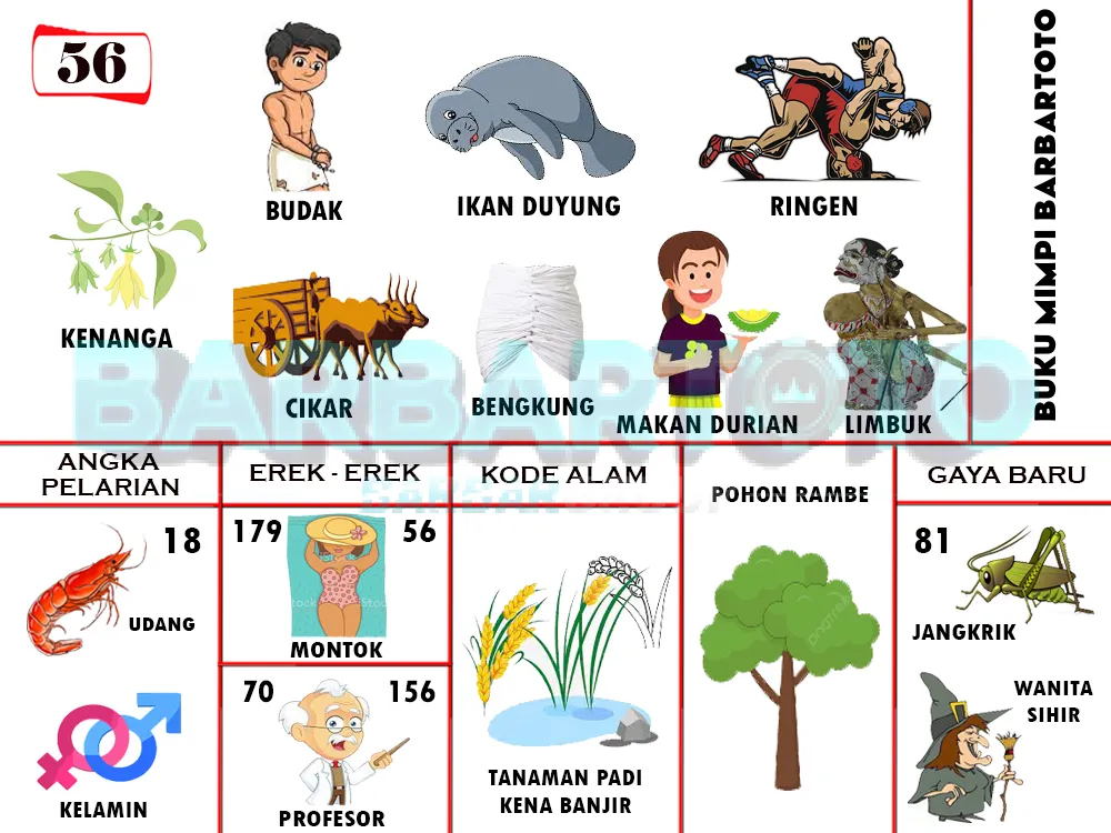 buku mimpi erek erek togel 56